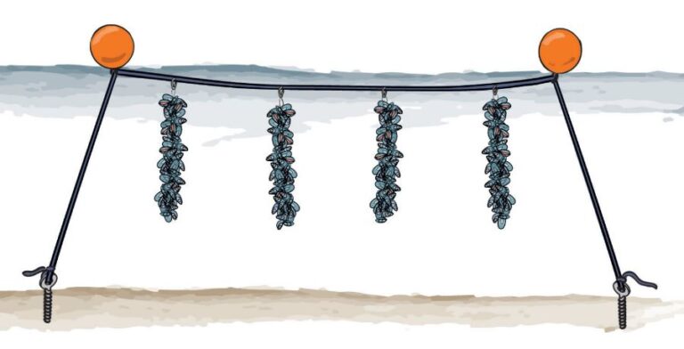 Som det skulle have endt med at være