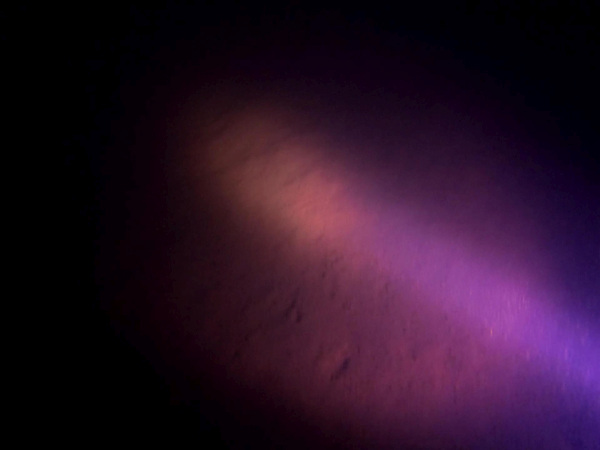 Not much to see at the 18.5 meter deep spot